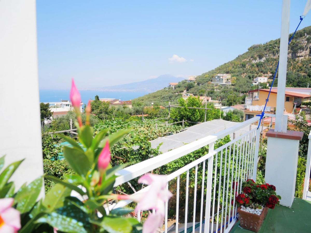 Olindo Apartment E Cristina Apartments Vico Equense Ngoại thất bức ảnh